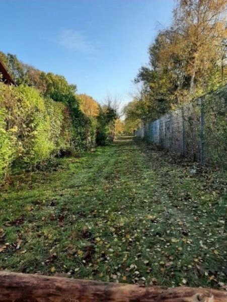 Hohenlockstedt Baugrundstück in Hohenlockstedt 






















Grundstück Höhenlockstedt zu verkaufen: WA - II - GRZ 0,3  