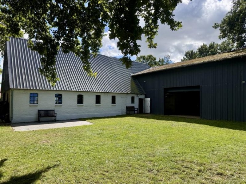 Linden (Kreis Dithmarschen) Verkauf eines gepflegten Resthofes mit Hausweide und Pferdeboxen in Linden Haus kaufen