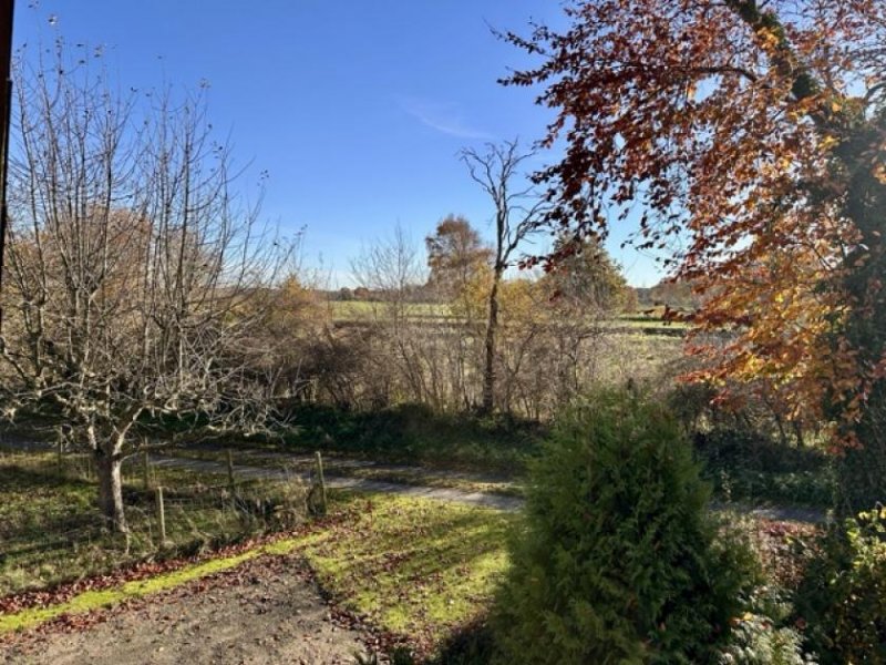 Weddingstedt Verkauf eines gepflegten Resthofes mit Hausweide und Stallungen in Alleinlage ca. 7 km von Heide Haus kaufen