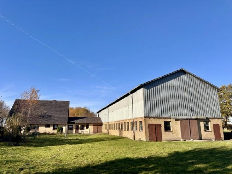 Weddingstedt Verkauf eines gepflegten Resthofes mit Hausweide und Stallungen in Alleinlage ca. 7 km von Heide Haus kaufen
