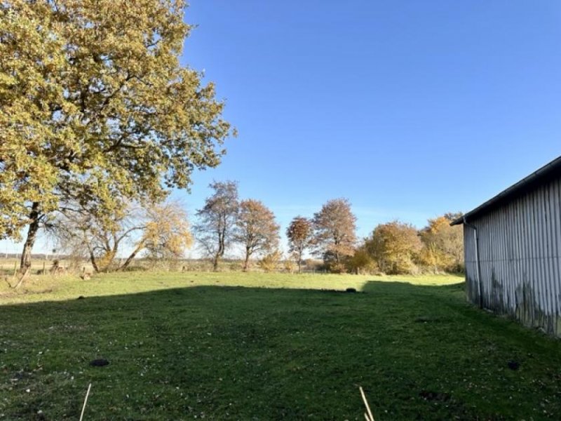 Weddingstedt Verkauf eines gepflegten Resthofes mit Hausweide und Stallungen in Alleinlage ca. 7 km von Heide Haus kaufen