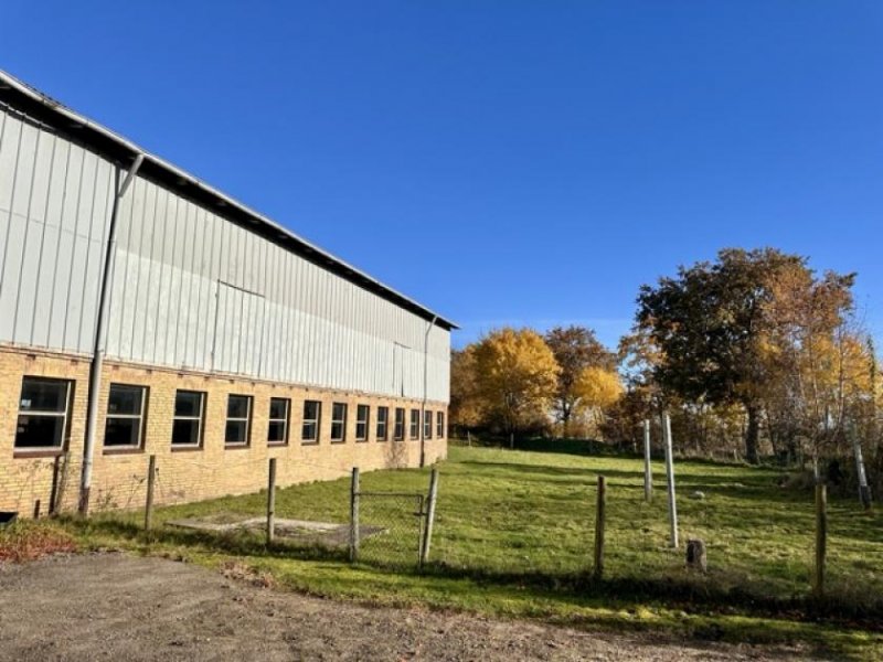 Weddingstedt Verkauf eines gepflegten Resthofes mit Hausweide und Stallungen in Alleinlage ca. 7 km von Heide Haus kaufen