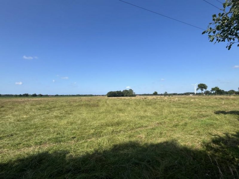 Esens Landhaus mit 2 Wohnungen, Scheune, 2 Schuppen und 6 ha Land! Haus kaufen