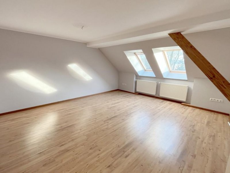 Schweindorf Gulfhof mit 2 Wohnungen, Einbauküchen, Garage, Werkstatt etc. in ruhiger Lage! Haus kaufen