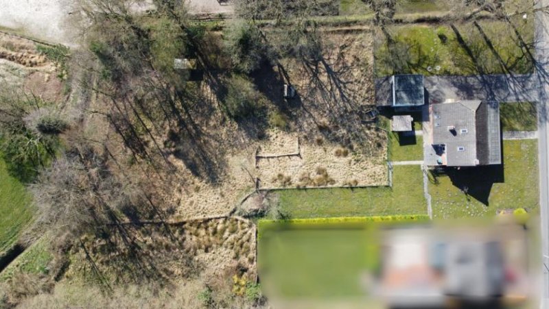 Leer (Ostfriesland) Reduziert! Einfamilienhaus mit 4.460m² Grundstück und traumhaftem Weitblick Haus kaufen