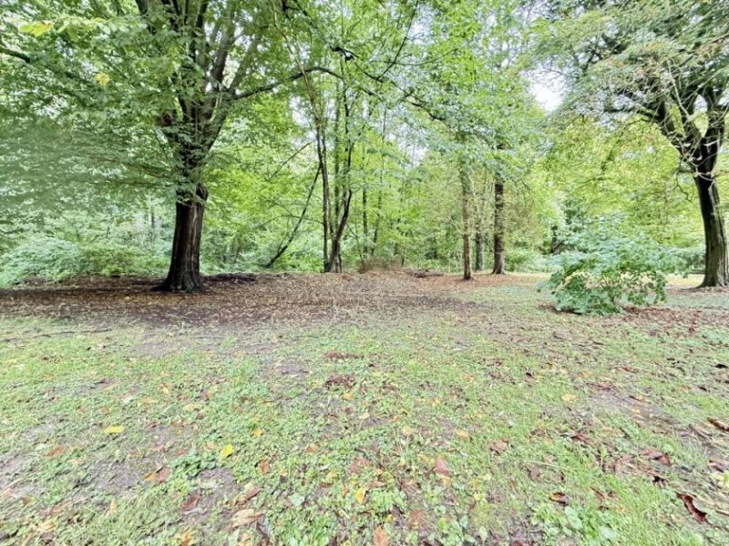 Leer (Ostfriesland) * TOP Lage * 5 Wohnungen * Kapitalanlage * Großes Grundstück * Ruhige Lage * TOP Verkehrsanbindung * Haus kaufen