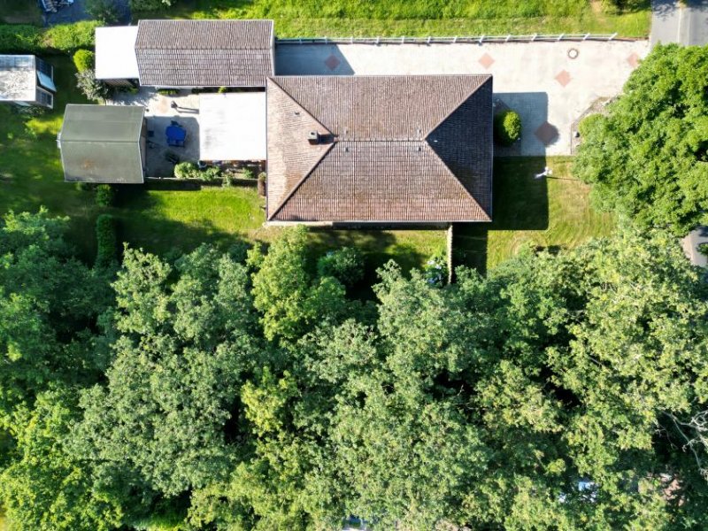 Westoverledingen * Bungalow mit seltenem 1.667 m² Grundstück und wunderschönem Baumbestand * Haus kaufen