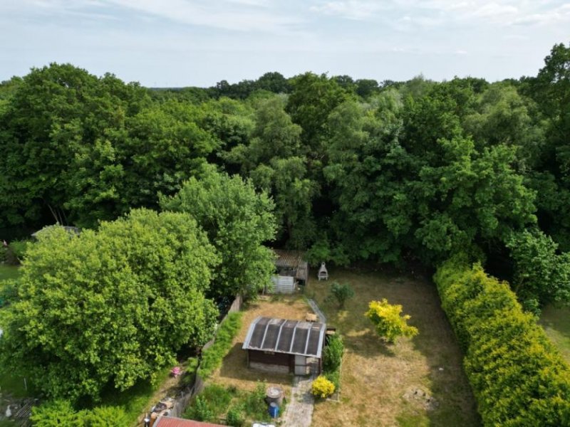 Westoverledingen „Gestalten statt suchen – Familienidylle mit Zukunft“ Haus kaufen