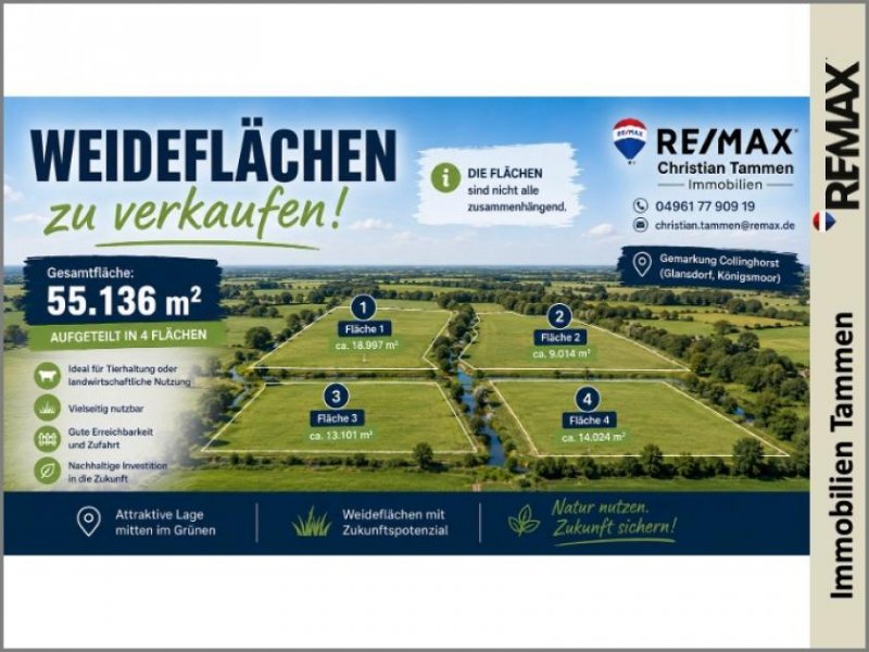 Rhauderfehn * ca.55.136 m² Weideflächen in der Gemarkung Collinghorst – Sofort verfügbar * Grundstück kaufen