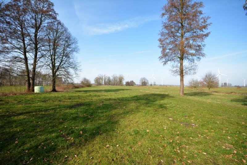 Weener * Gelegenheit, ca. 6 Hektar Grünland und ein saniert Hof mit viel Potenzial * Haus kaufen