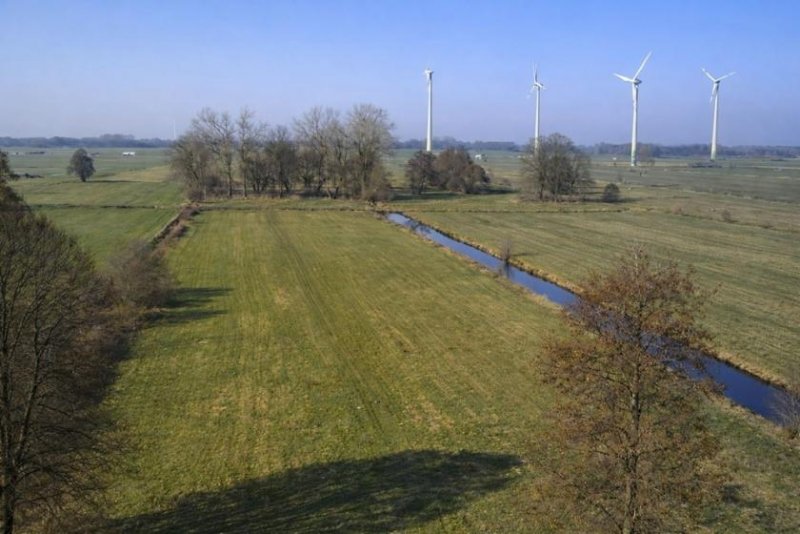 Weener * Gelegenheit, ca. 6 Hektar Grünland und ein saniert Hof mit viel Potenzial * Haus kaufen