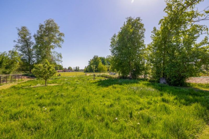 Bunde * Einfamilienhaus mit 7935 qm Grundstücksfläche in traumhafter Lage * Wymeer * Haus kaufen