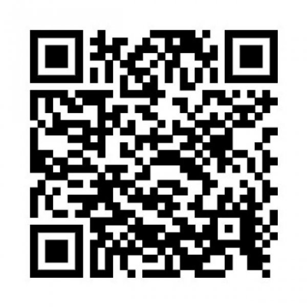 Holtland Einfamilienhaus mit innenl. Wohneinheit (ELW) in 26835 Holtland bei Leer (Ostfriesland), 204 m² Wfl. Haus kaufen