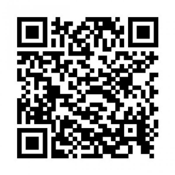 Holtland Modernisiertes Reihenendhaus mit innenl. Wohneinheit (ELW) in 26835 Holtland bei Leer (Ostfr.) Haus kaufen