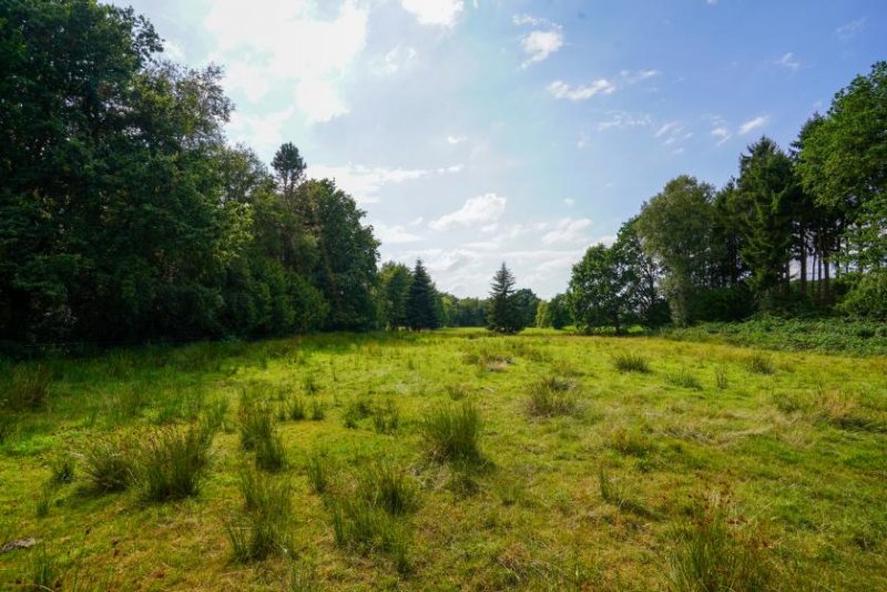 Ostrhauderfehn Ein Paradies für Pferdeliebhaber 
Einfamilienhaus mit ca. 12.645 m² Grundstück in Idafehn! Haus kaufen