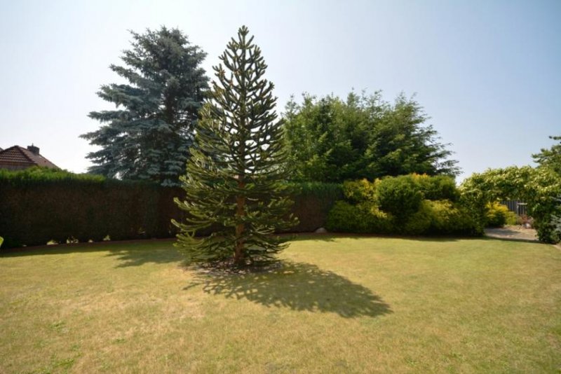 Heede (Landkreis Emsland) * Mehrfamilienhaus mit 3 Wohneinheiten und Gewerbe * Haus kaufen