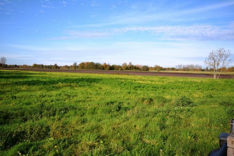 Bockhorst * Kein Haus von der „Stange“ * Haus kaufen