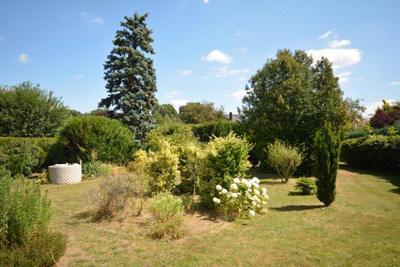 Surwold * Bungalow in Sackgassenlage, nahe dem Erholungsgebiet * Haus kaufen