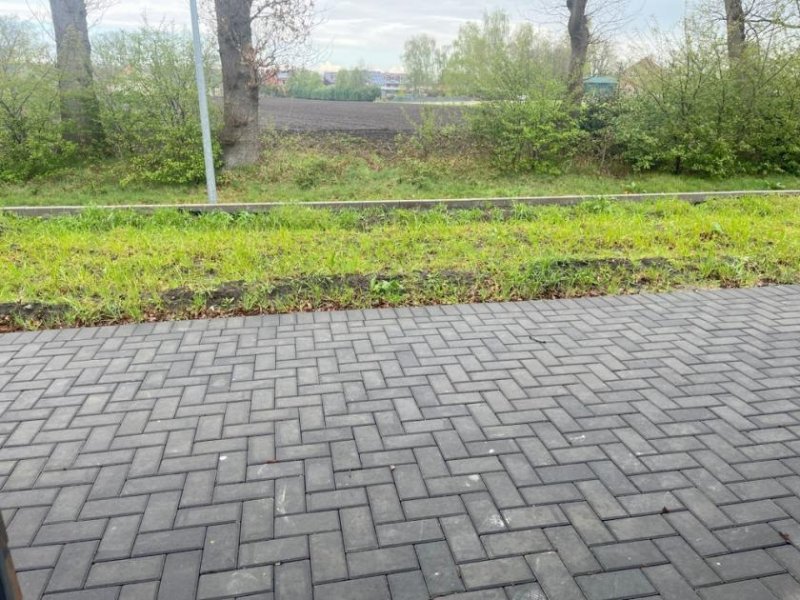 Surwold * Moderner Neubau * Elektrische Rollladen * Fußbodenheizung, keine Heizkörper * Erstbezug * Haus kaufen