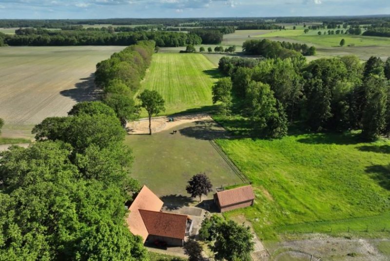 Anderlingen Anwesen mit positivem Bauvorbescheid – Gewerbe, Wohnen & Tierhaltung in Kombination möglich Haus kaufen