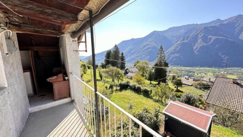 Colloro Colloro Felicita Haus kaufen