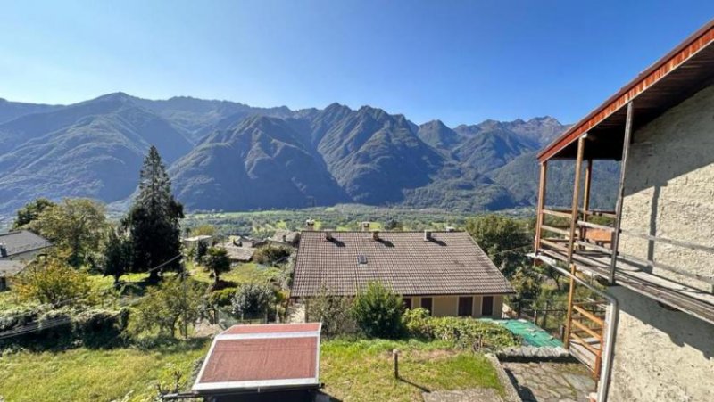 Colloro Colloro Felicita Haus kaufen