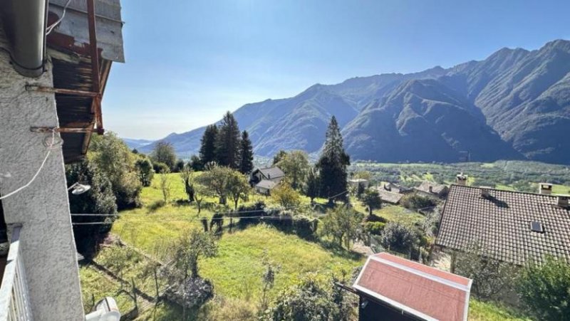 Colloro Colloro Felicita Haus kaufen