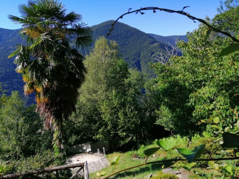 Gurrone Traumlage! Alleinlage die erklommen werden möchte! Adlerhorst mit Pool und Seesicht oberhalb von Canobbio Haus kaufen