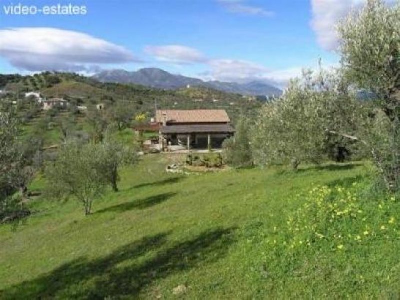 Coin Kleine Finca mit Oliven- und Orangenbäumen Haus kaufen