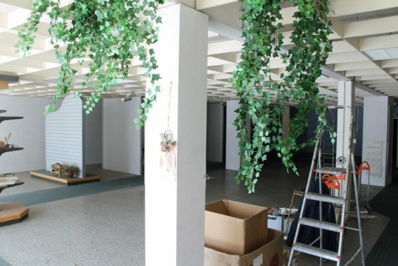 Lüchow (Wendland) Wohn- und Geschäftshaus in zentraler Innenstadtlage Gewerbe kaufen