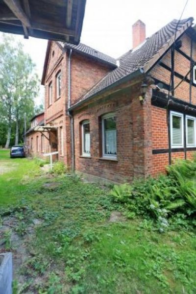 Uelzen Wassermühle anno 1338 mit Wohnhaus und ca. 3.5 ha, Grund Wald, Wiese, Bachlauf, Fischteiche Haus kaufen