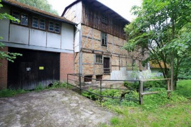 Uelzen Wassermühle anno 1338 mit Wohnhaus und ca. 3.5 ha, Grund Wald, Wiese, Bachlauf, Fischteiche Haus kaufen