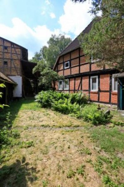 Uelzen Wassermühle anno 1338 mit Wohnhaus und ca. 3.5 ha, Grund Wald, Wiese, Bachlauf, Fischteiche Haus kaufen