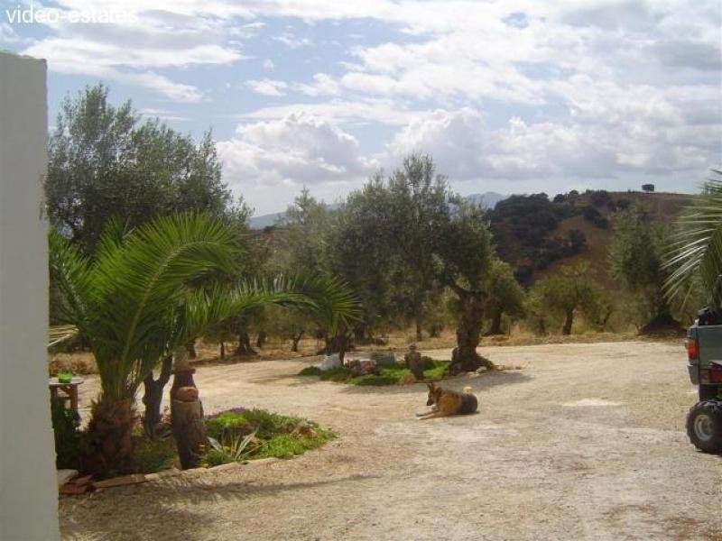 Casarabonela Phantastisches Landhaus zum Kauf auf einem grossen Grundstück Haus kaufen