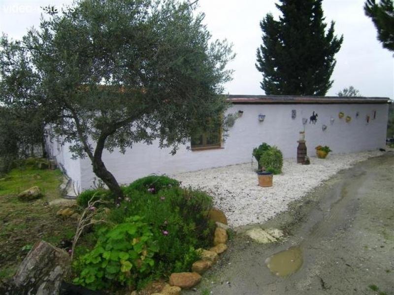 Casarabonela Phantastisches Landhaus zum Kauf auf einem grossen Grundstück Haus kaufen