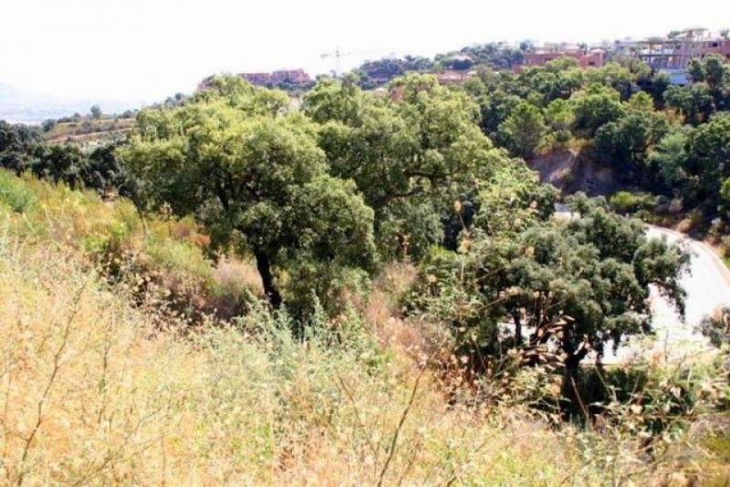 LA MAIRENA Grundstück mit Meerblick in der Nähe der deutschen Schule Grundstück kaufen