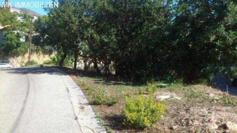 Heimbuch Kleines Haus in Torreblanca mit Meerblick Haus kaufen