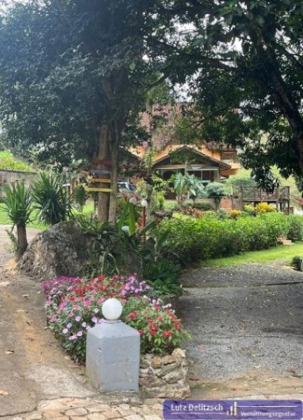 Santa Leopoldina Pension und eine Kaffeeplantage im Bereich Santa Leopoldina Gewerbe kaufen