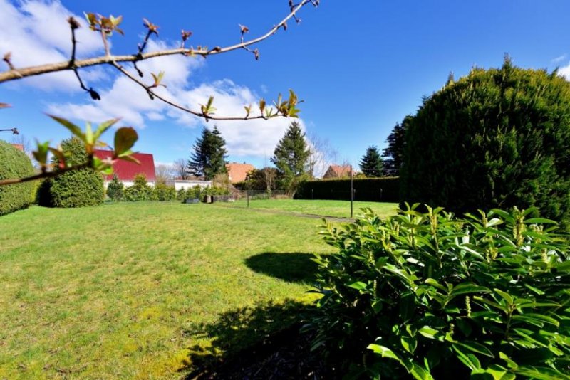 Schneverdingen Lassen Sie Ihrer Kreativität freien Lauf Haus kaufen