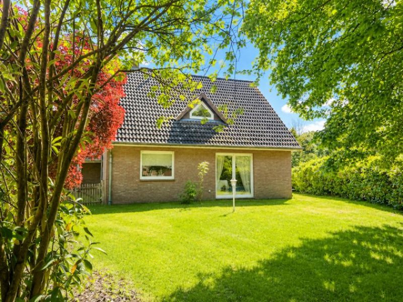 Schneverdingen Modern wohnen im charmanten Einfamilienhaus Haus kaufen