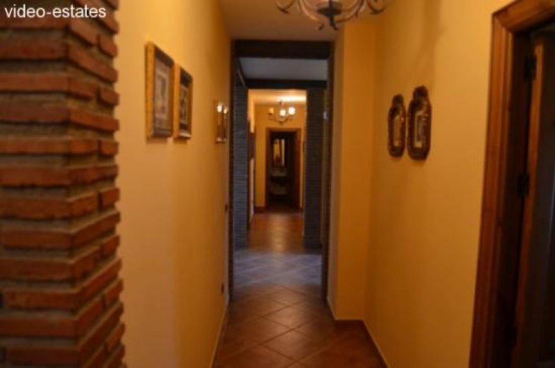 Wietzendorf Finca fertig zum Bezug mit Pferdestall Haus kaufen