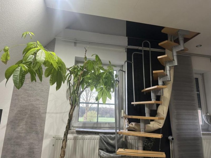Walsrode 1-2 Fam Hs Pool Sauna Teich Nebengebäude Wintergarten Kamin Haus kaufen