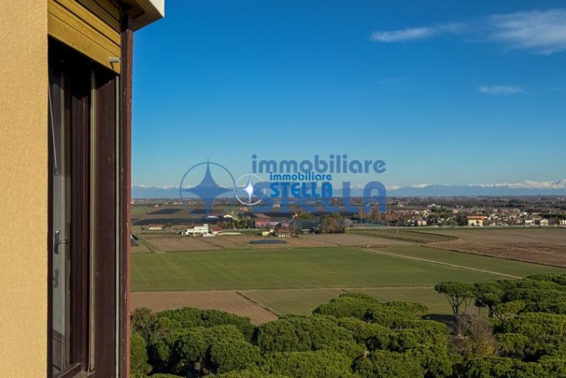 Jesolo Monolocale immerso nel verde della Pineta Wohnung kaufen