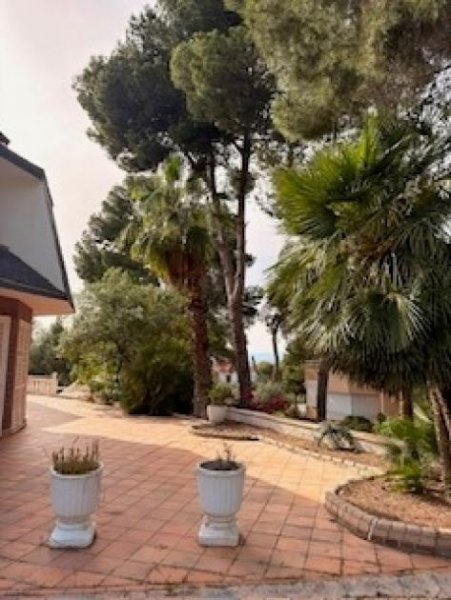 El Palmar Große Finca mit zwei freistehenden Villen Haus kaufen