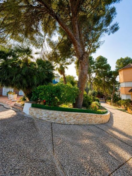 El Palmar Große Finca mit zwei freistehenden Villen Haus kaufen