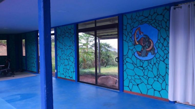 Chitaria Traumanwesen in Costa Rica mit 8,9 ha, 528 m² Wohnfläche Haus kaufen