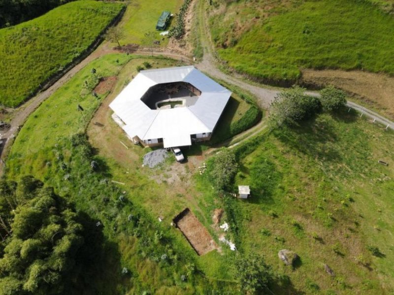 Chitaria Traumanwesen in Costa Rica mit 8,9 ha, 528 m² Wohnfläche Haus kaufen