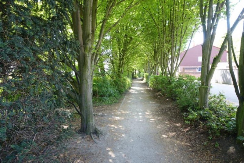 Langenhagen Lichtdurchflutete 3-Zimmer-Wohnung mit Balkon Wohnung kaufen