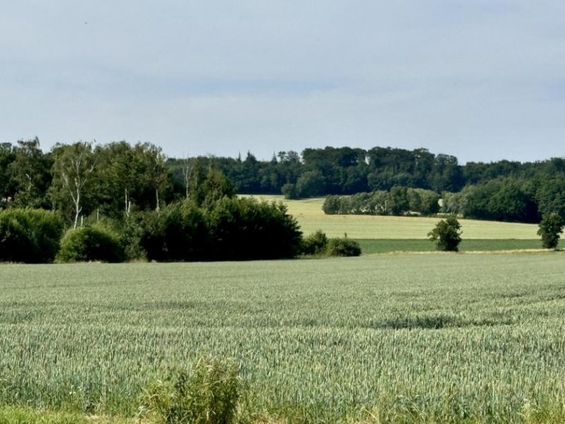 Auhagen Baugrundstück mit vielen Möglichkeiten Grundstück kaufen