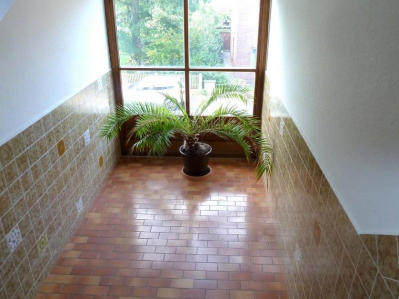 Hagenburg großzügige 4 Zi EG Wohnung mit Terrasse Wohnung kaufen